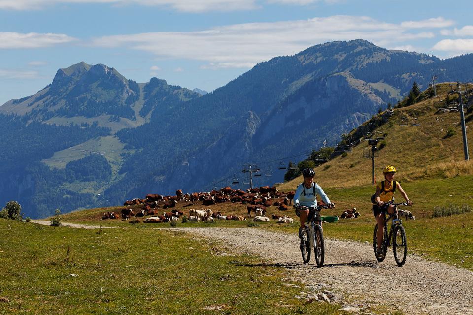 Hotel Les Skieurs Bellevaux ภายนอก รูปภาพ