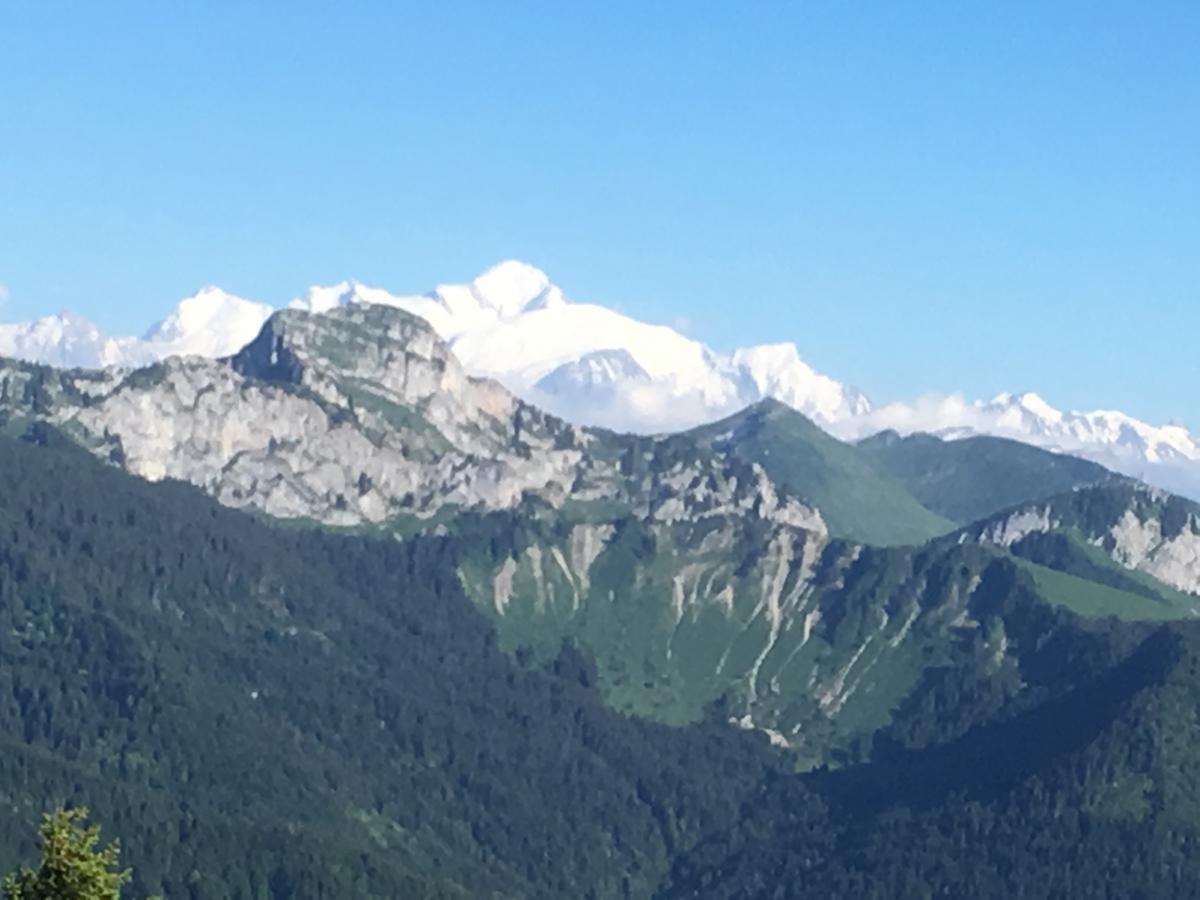 Hotel Les Skieurs Bellevaux ภายนอก รูปภาพ